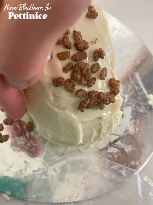 OPTION 2:  On this smaller cake, I will make the head from a solid piece of fondant.  So after icing the cake with Bakels Truffle, and before it sets, stick rice bubbles along the back and side for texture.