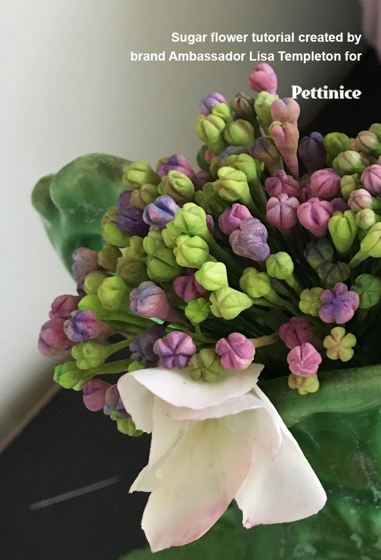 Hydrangea sugar flower tutorial with Lisa Templeton