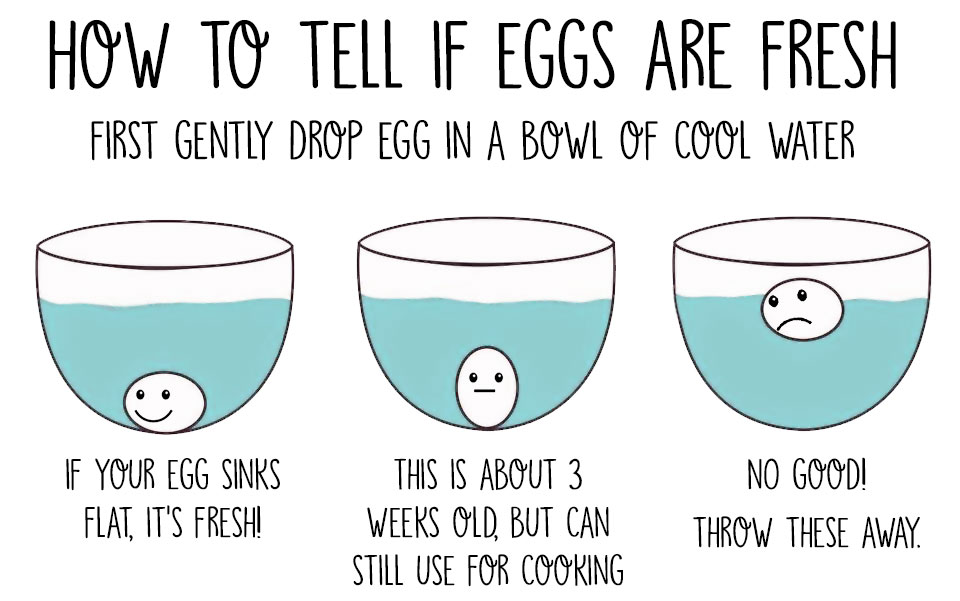 Top tip: How to tell if eggs are fresh