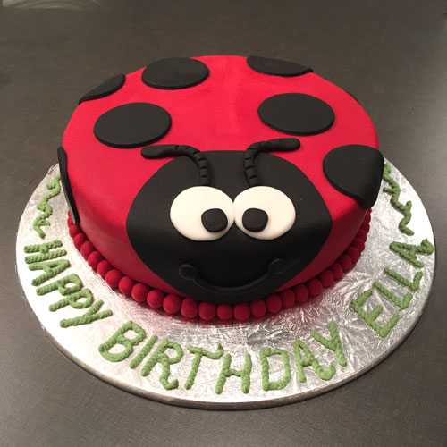 Ladybird cake by Larissa Aitkin