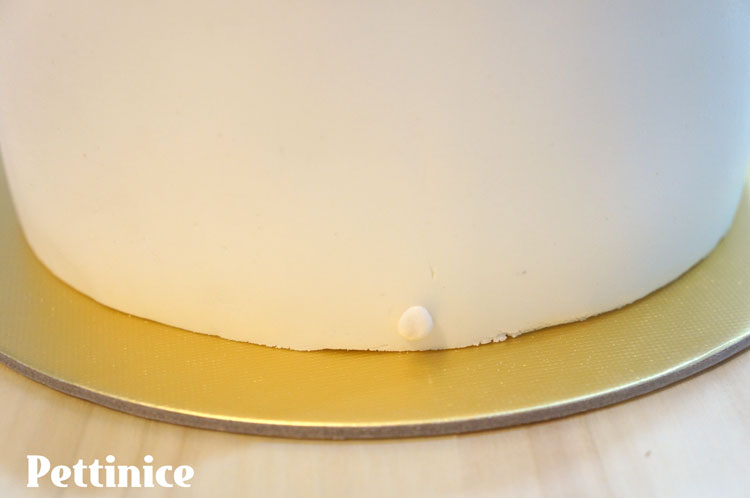 Using a small dot of water, attach the first piece to the back of the cake.