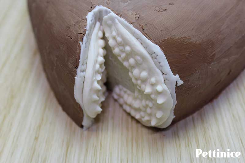 Apply with a damp brush into the mouth cavity, stretching as needed.  Trim or smooth down excess fondant