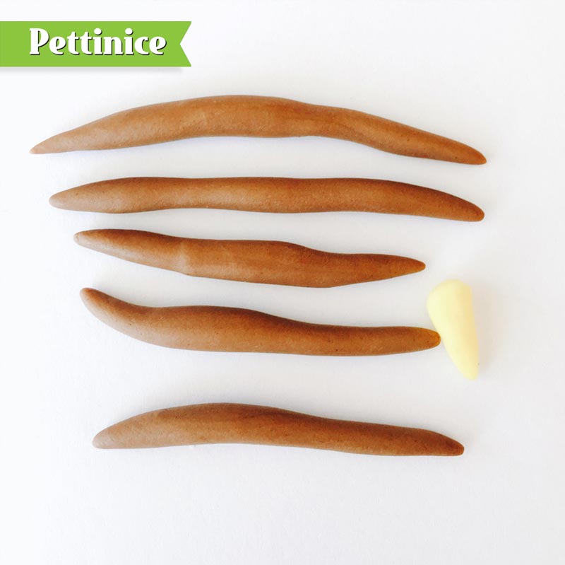 Roll out your chocolate Pettinice for the mane.  You can make a lighter shade by adding white fondant.