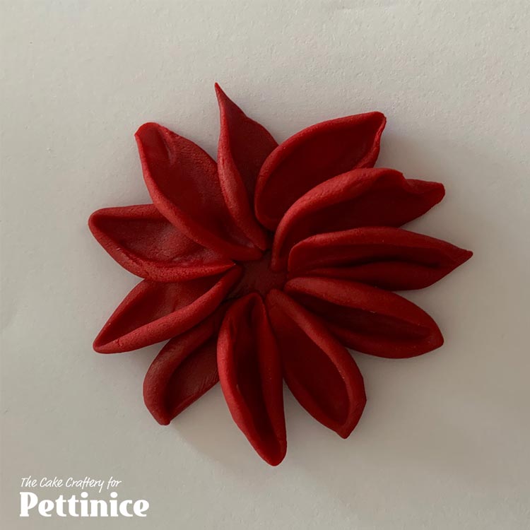 Arrange 11 lightest petals like this.