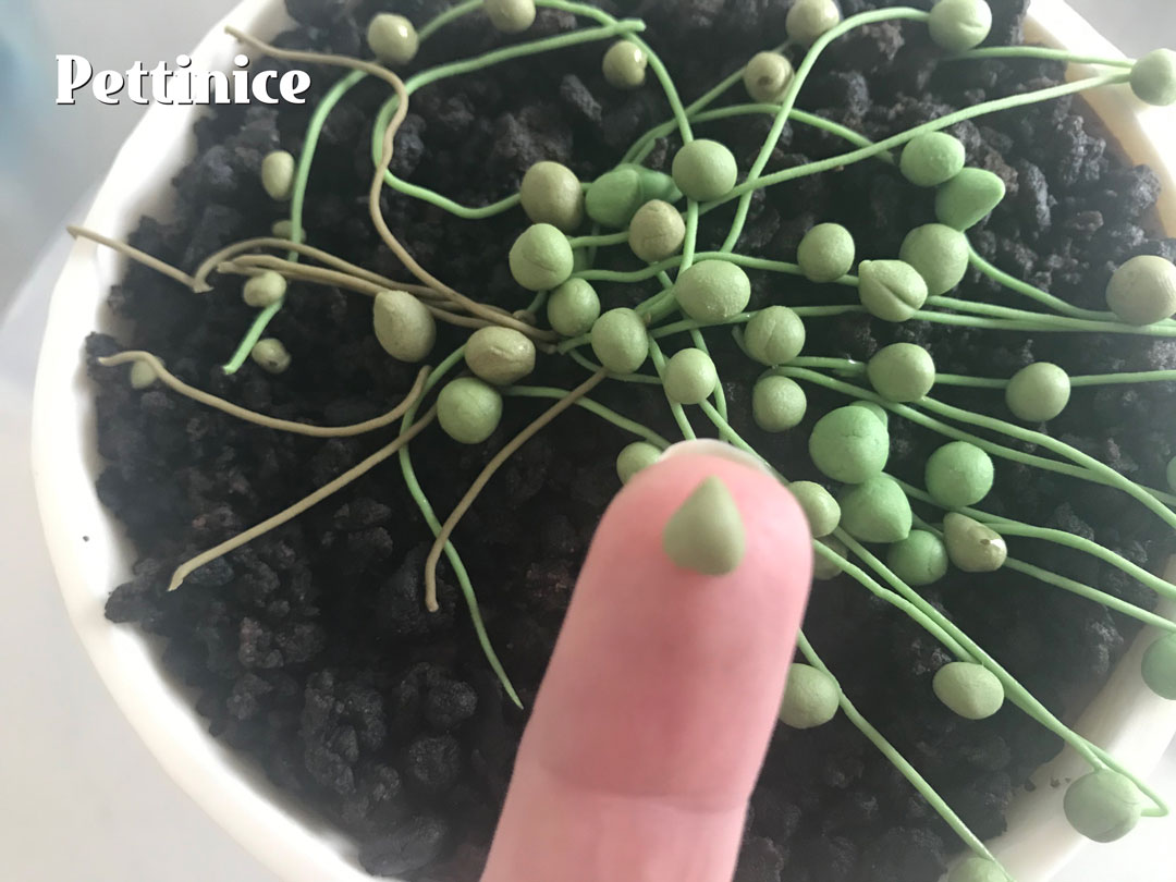 It is good to add the pearls on top before you add the ones on the side, this adds weight to the stems on the side in case your stems don’t stick very well to the soil.
