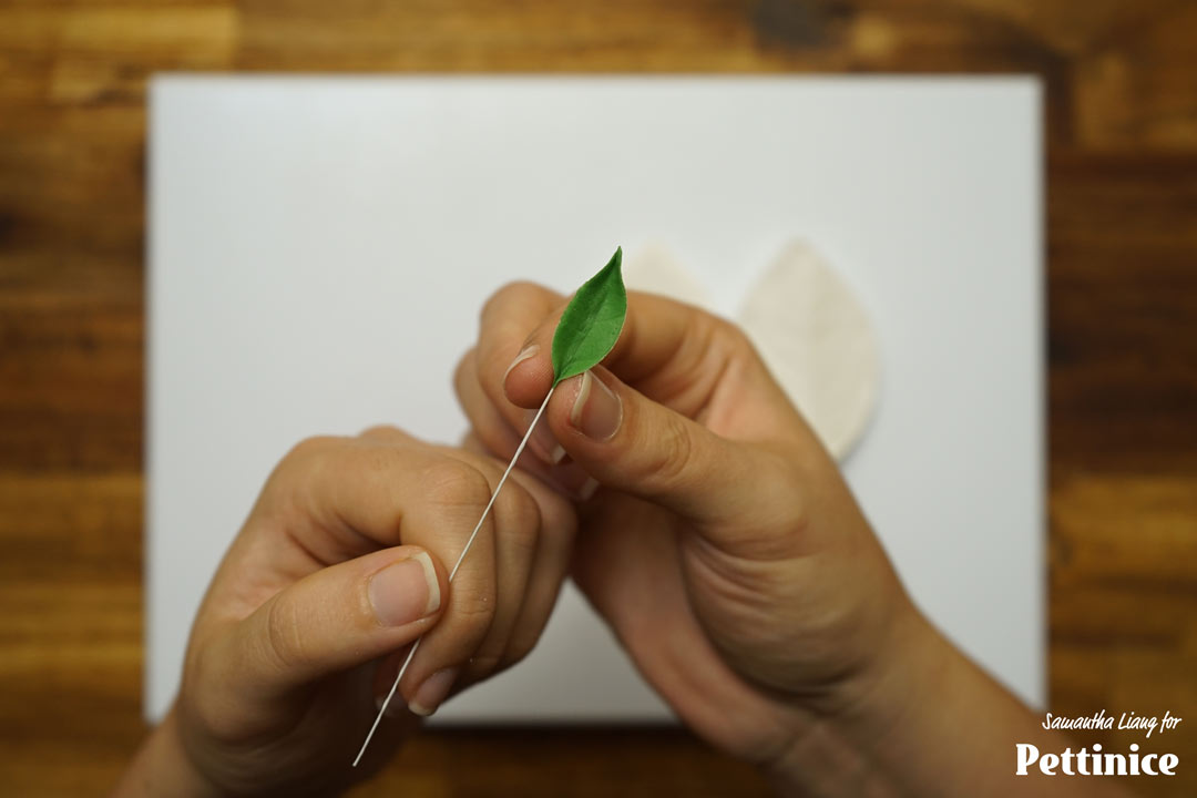 Pinch the top of your leaf and the bottom close to the wire to secure and give some movement. Set aside to dry for a few hours or overnight.