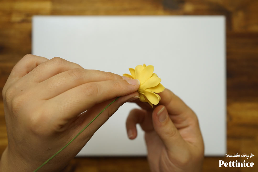 Stick your petals to your flower center that is completely dry. Pinch the bottom of the paste and do a semi twiddle to clean it and secure it.