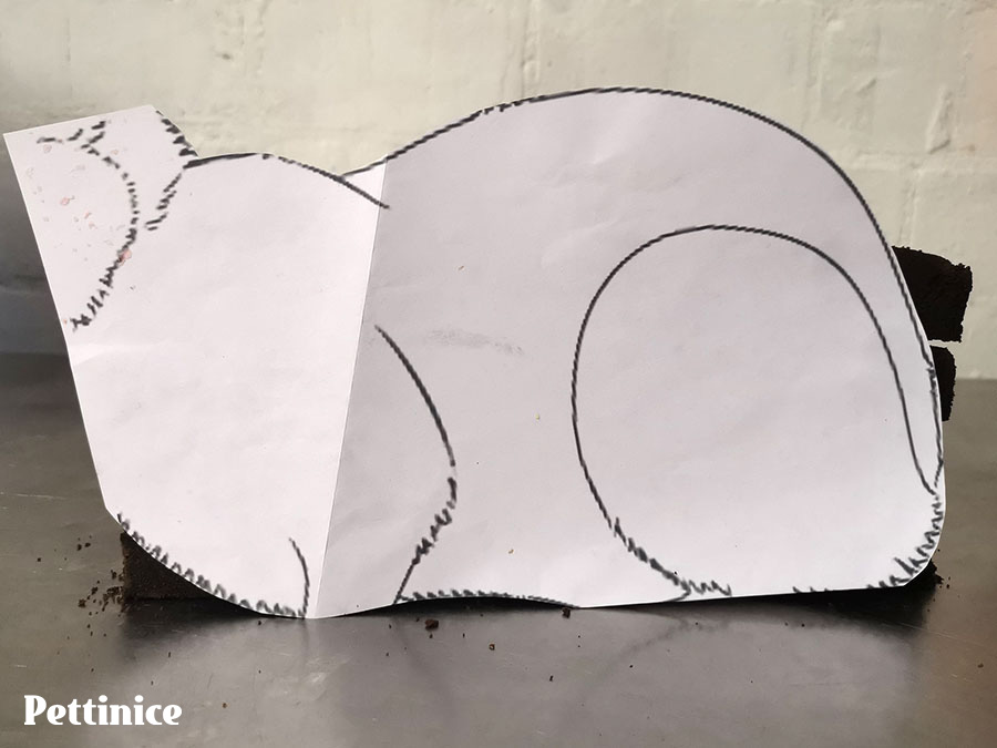 Once ready, use your template to start carving your cake to the shape of the bunny's body