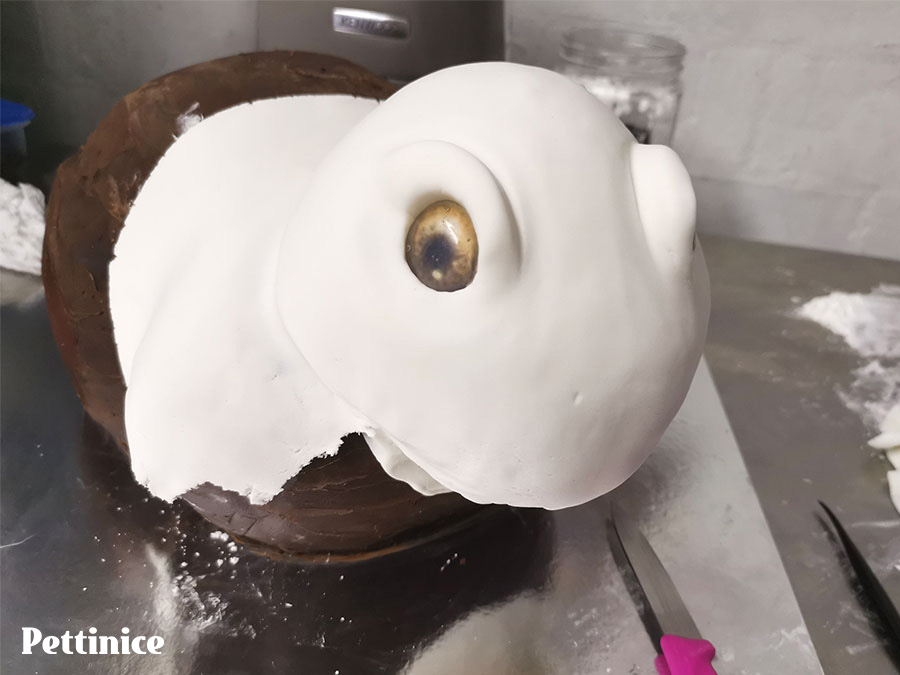Now we are ready to cover the cake. I added some fondant sausage shapes above the eye sockets to create some arches before covering in fondant.  Cover first, then add the eyes.